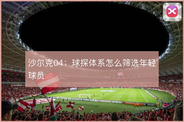 沙尔克04：球探体系怎么筛选年轻球员